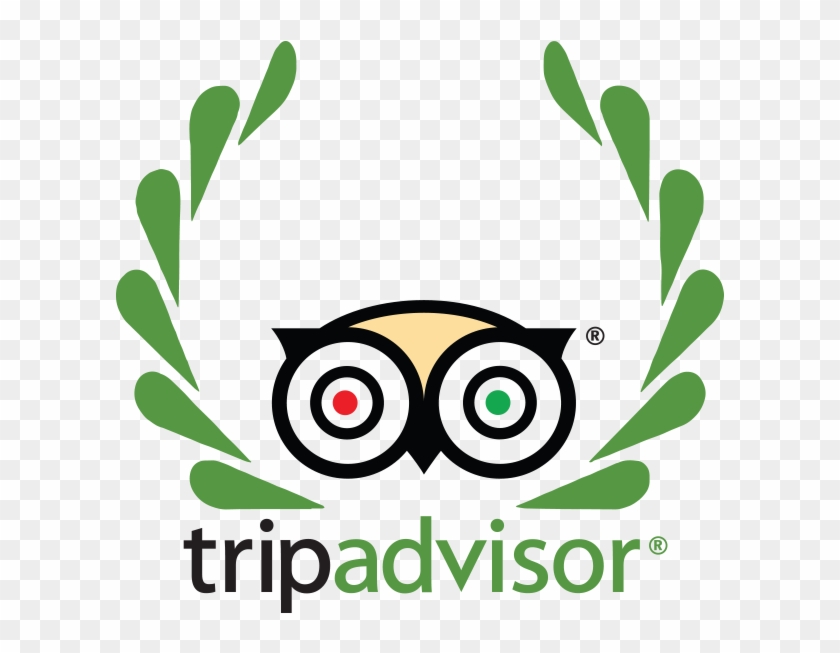 TripAdvisor